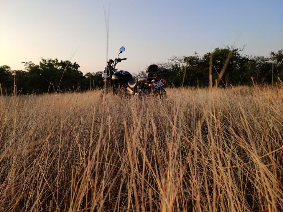 Photo of Nagpur to kokan by Javed Fazlani