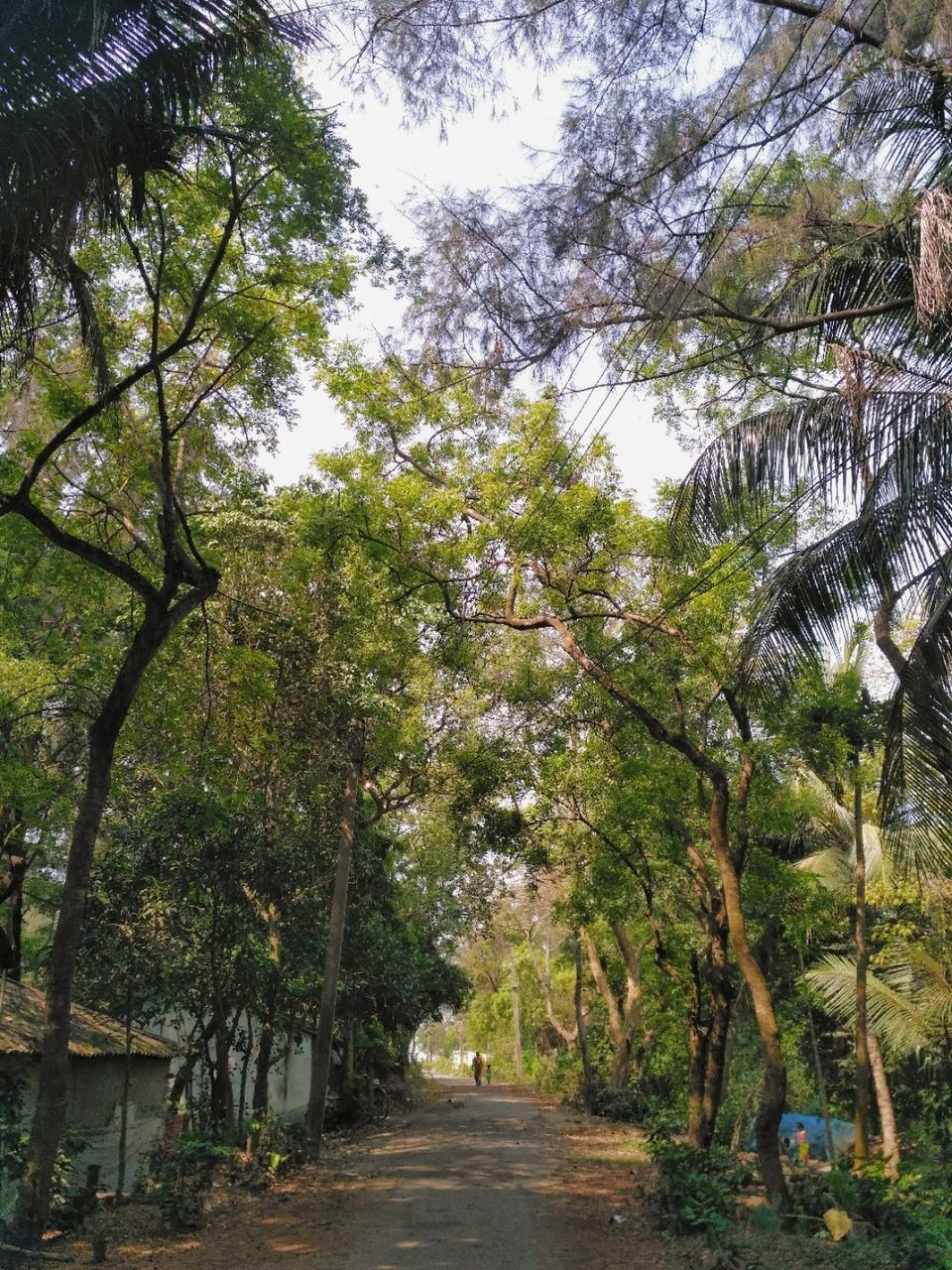Photo of Budget friendly weekend getaway to Bakhali Beach by Neha Lama
