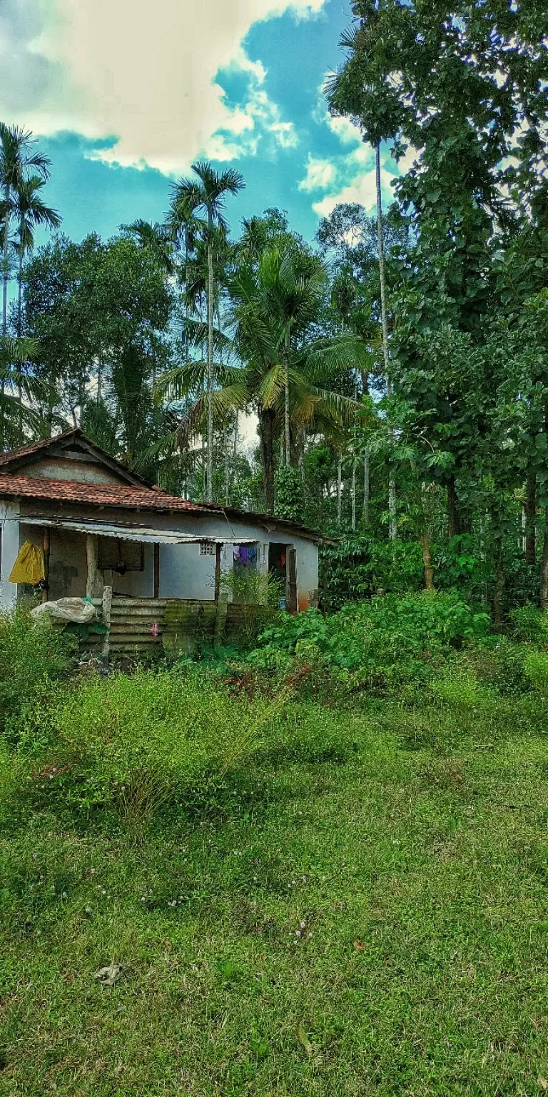 Photo of Bandipur National Park, Bandipur, Karnataka, India by Abhinav Dhoundiyal