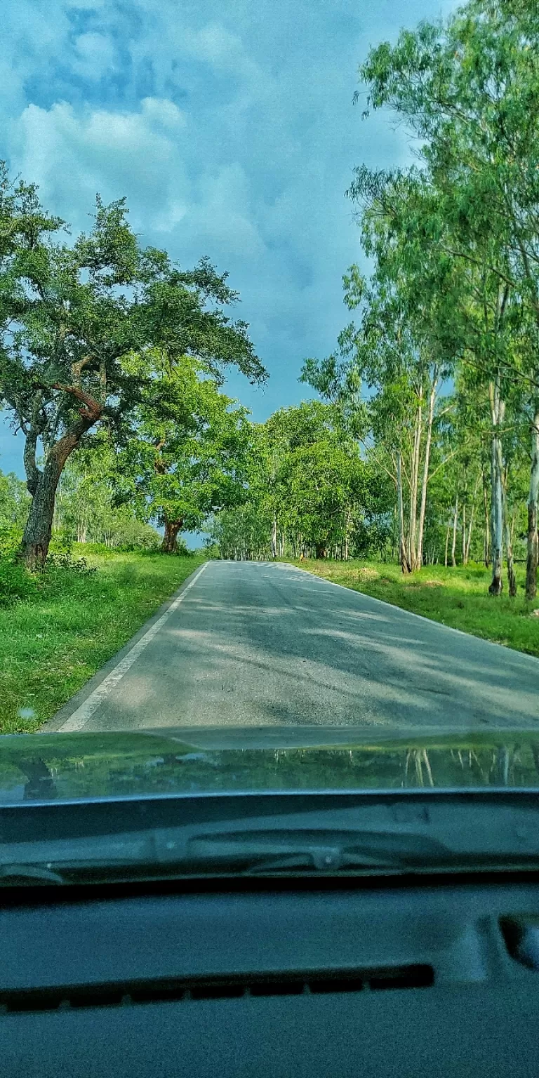 Photo of Bandipur National Park, Bandipur, Karnataka, India by Abhinav Dhoundiyal
