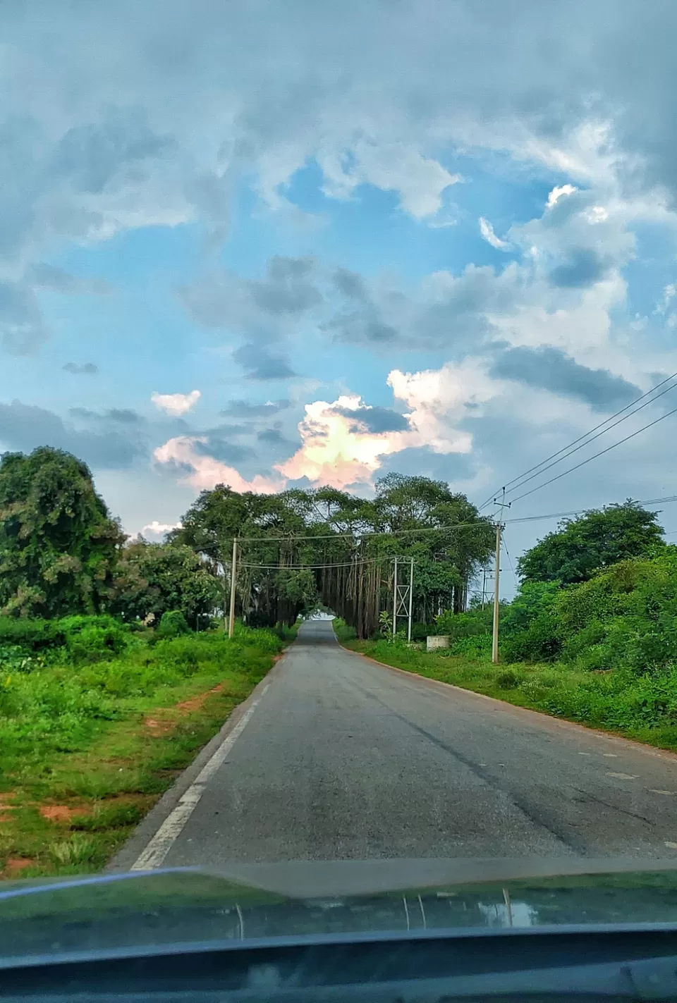 Photo of Bandipur National Park, Bandipur, Karnataka, India by Abhinav Dhoundiyal