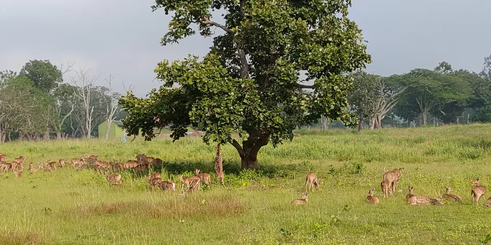 Photo of B.R.Hills, Karnataka, India by Abhinav Dhoundiyal
