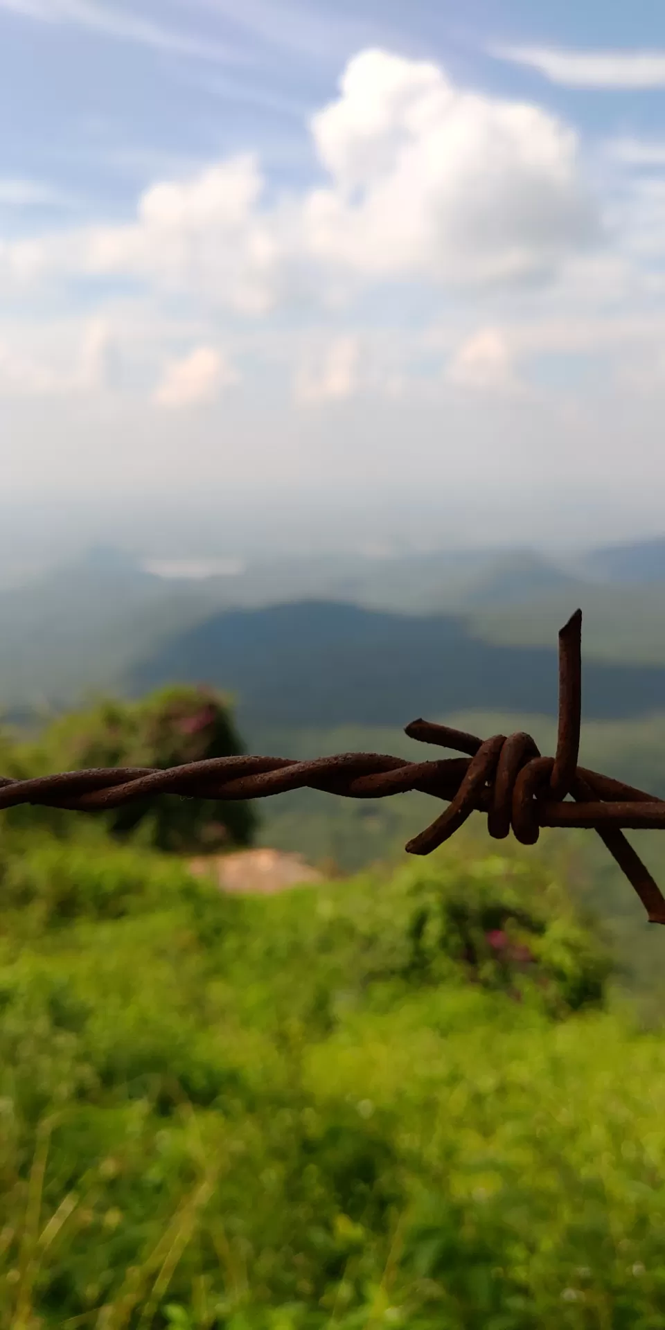 Photo of B.R.Hills, Karnataka, India by Abhinav Dhoundiyal