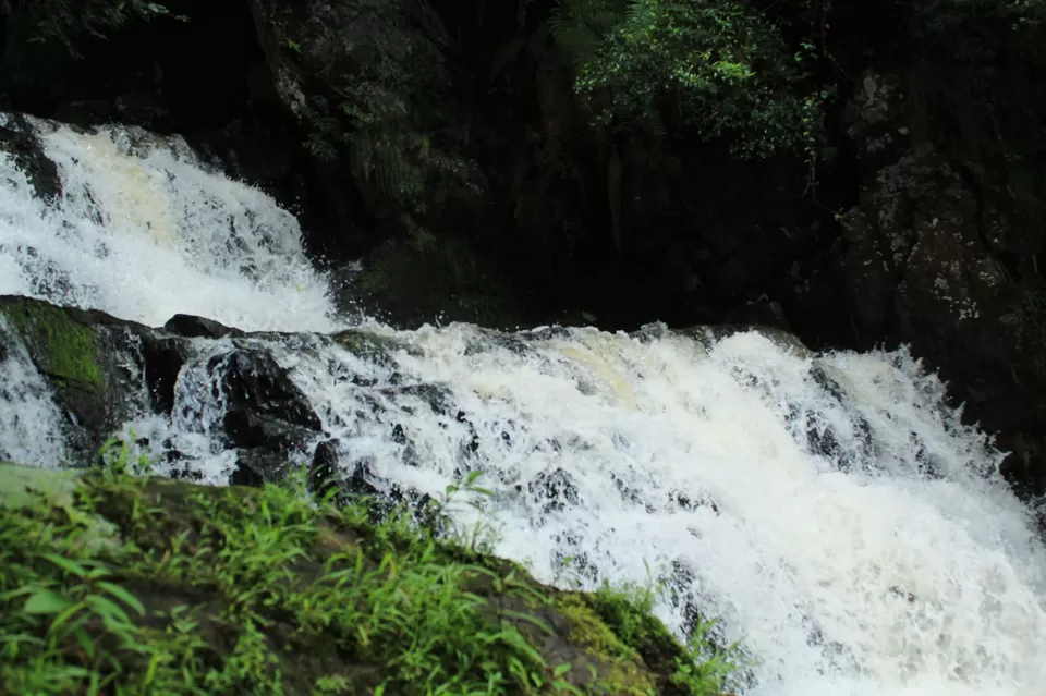 Photo of Nongriat, Meghalaya, India by baniya travellers
