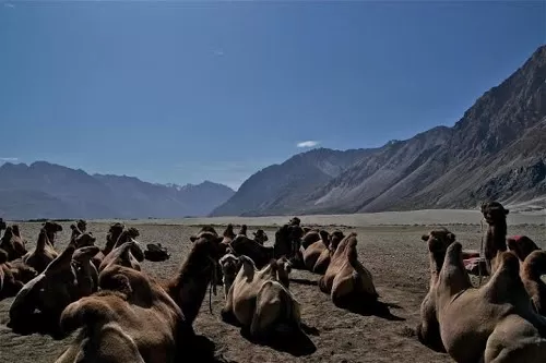 Photo of Nubra Valley, Hunder by Thunder Trails