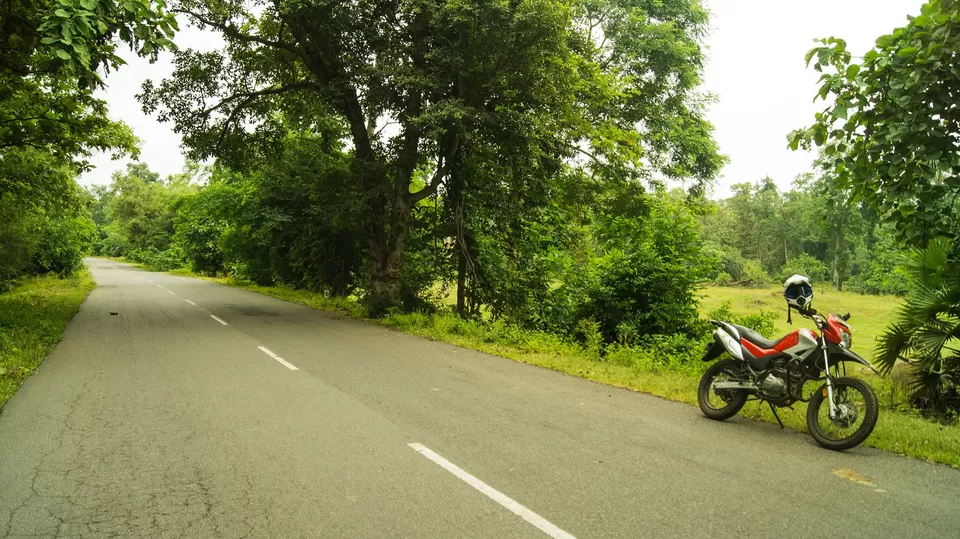 Photo of Kawal, Telangana, India by Thunder Trails