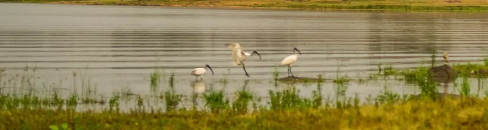 Photo of Kaddam Narayana Reddy Reservoir, Adilabad, Telangana, India by Thunder Trails