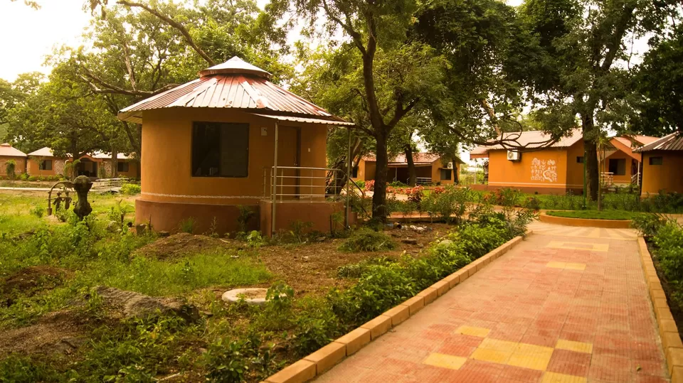 Photo of Kawal, Telangana, India by Thunder Trails