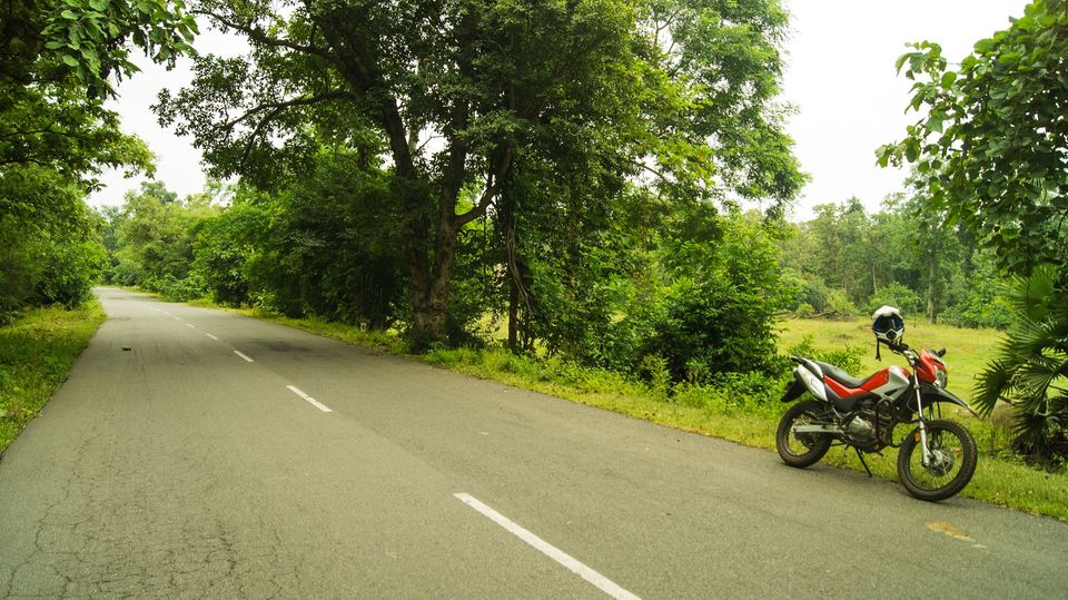 Photo of Weekend Escape, Hyderabad-Kawal Wildlife sanctuary 6/7 by Thunder Trails