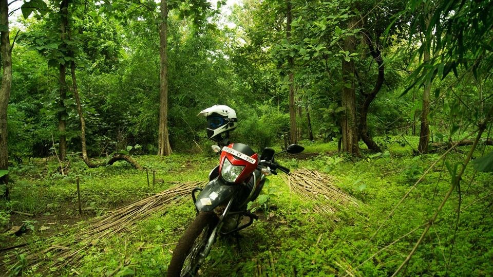 Photo of Weekend Escape, Hyderabad-Kawal Wildlife sanctuary 1/7 by Thunder Trails
