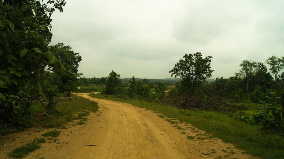 Photo of Weekend Escape, Hyderabad-Kawal Wildlife sanctuary 2/7 by Thunder Trails