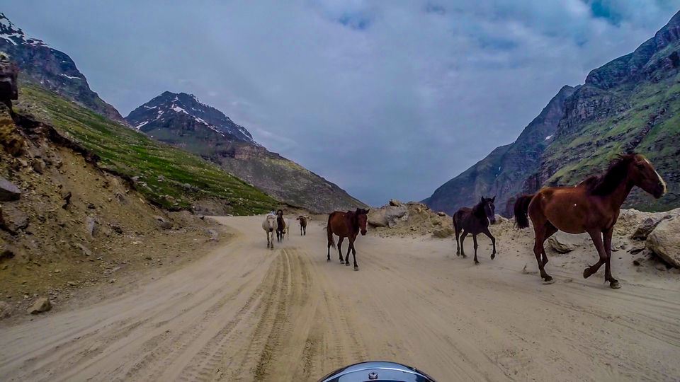 Photo of Motorcycle tour of Ladakh by Thunder Trails
