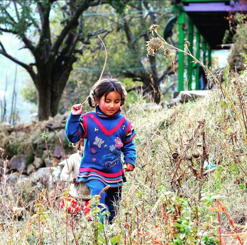 Photo of Himachal Pradesh, India by Dipen Shukla