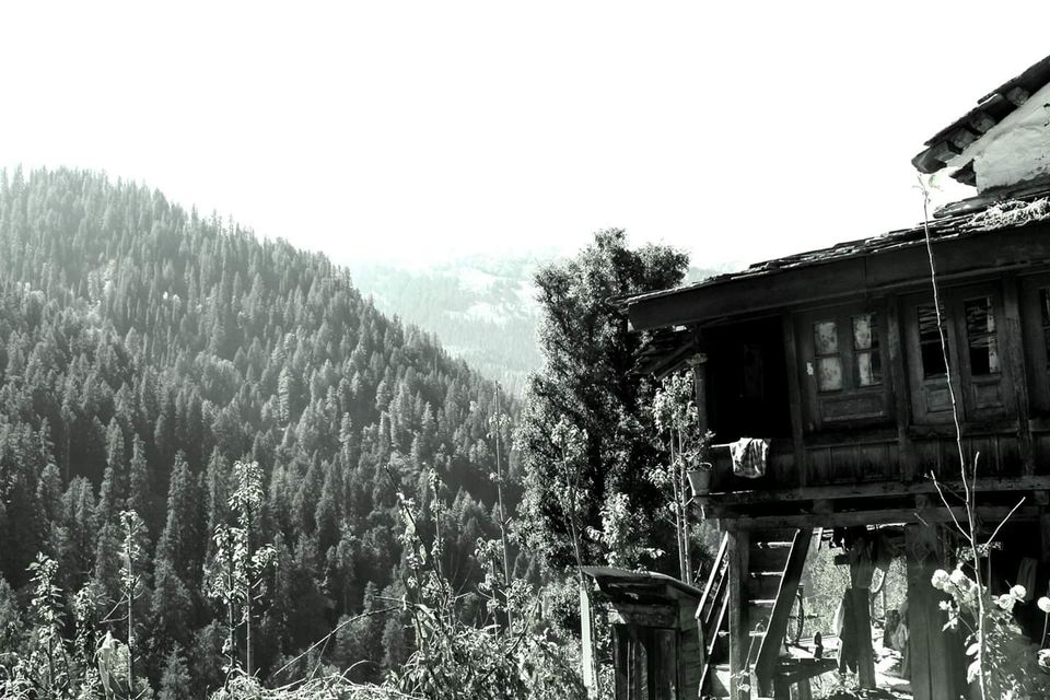 Photo of Himachal Pradesh, India by Dipen Shukla