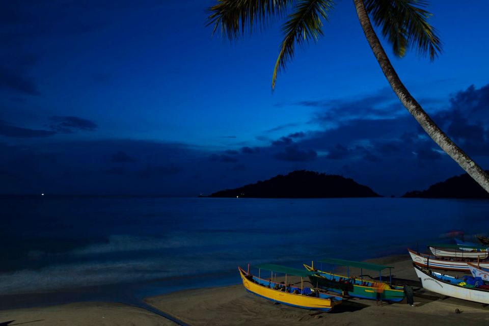 Photo of Glowing Goa 2019 2/8 by Sandipan Sarkar