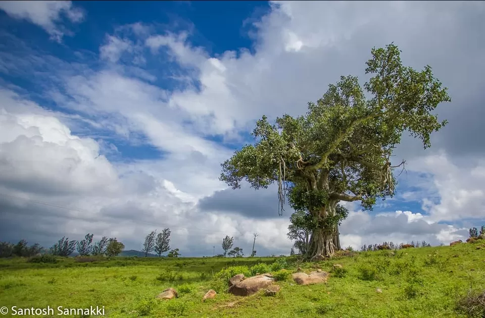 Photo of Wild Valley Farm, Dist, Germalam, Tamil Nadu, India by Santy S