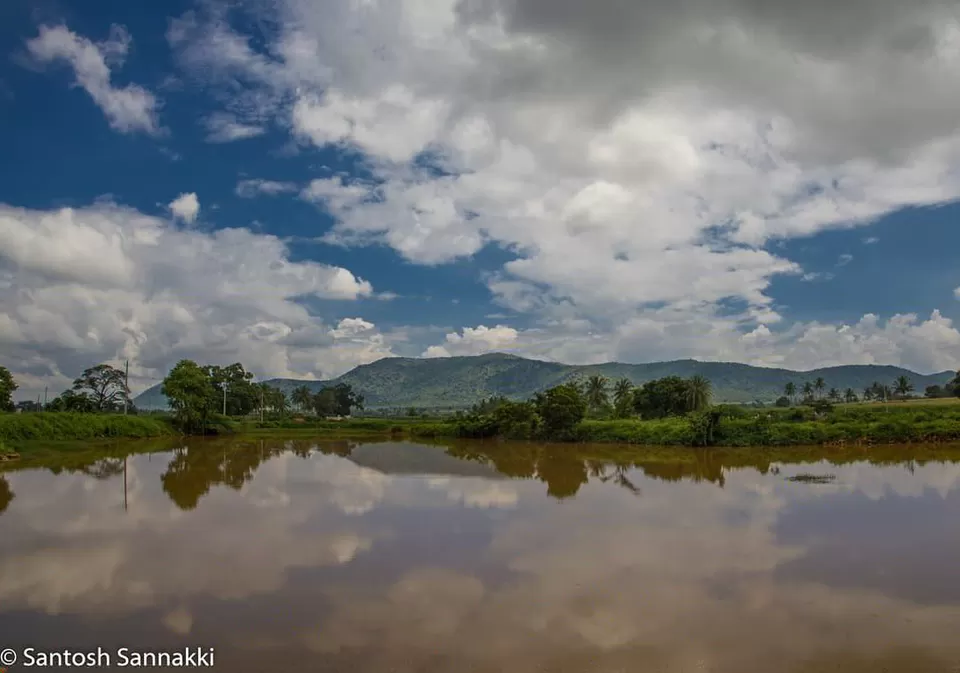 Photo of Wild Valley Farm, Dist, Germalam, Tamil Nadu, India by Santy S