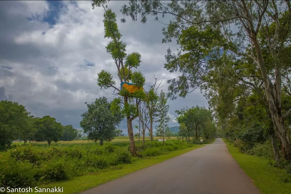 Photo of Wild Valley Farm, Dist, Germalam, Tamil Nadu, India by Santy S