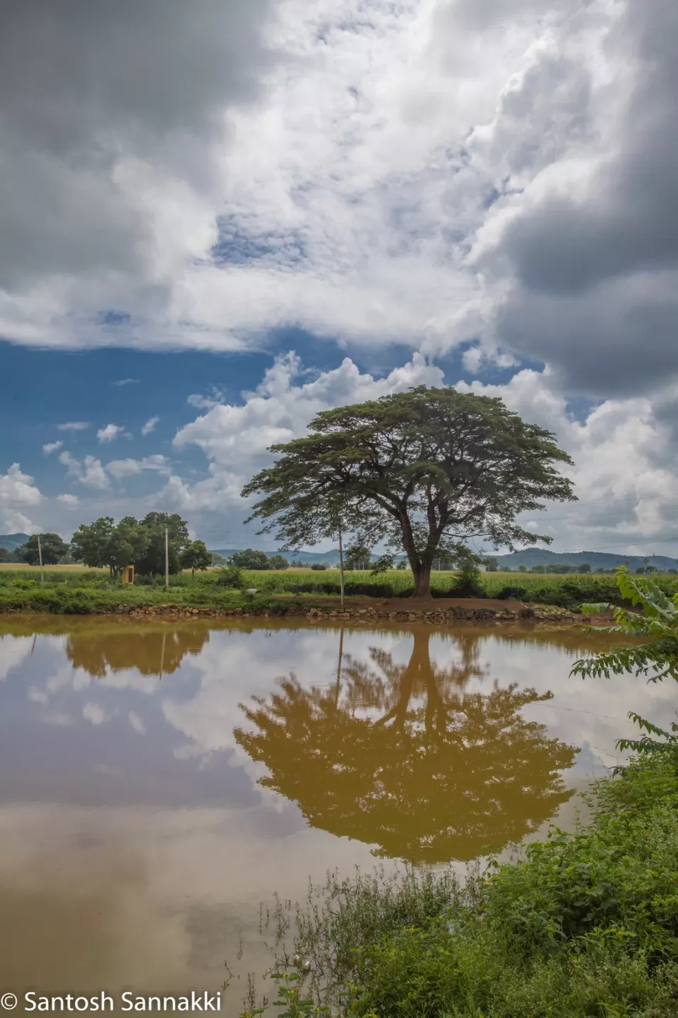 Photo of Wild Valley Farm, Dist, Germalam, Tamil Nadu, India by Santy S