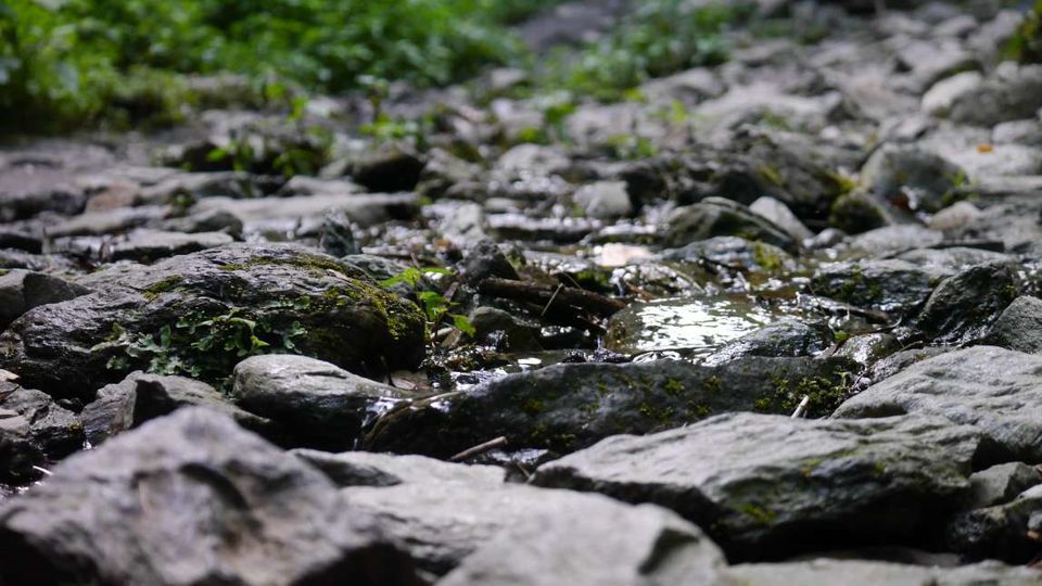 Photo of Jibhi: ‘Home’ Away From Home. 17/19 by Kamla Sharma