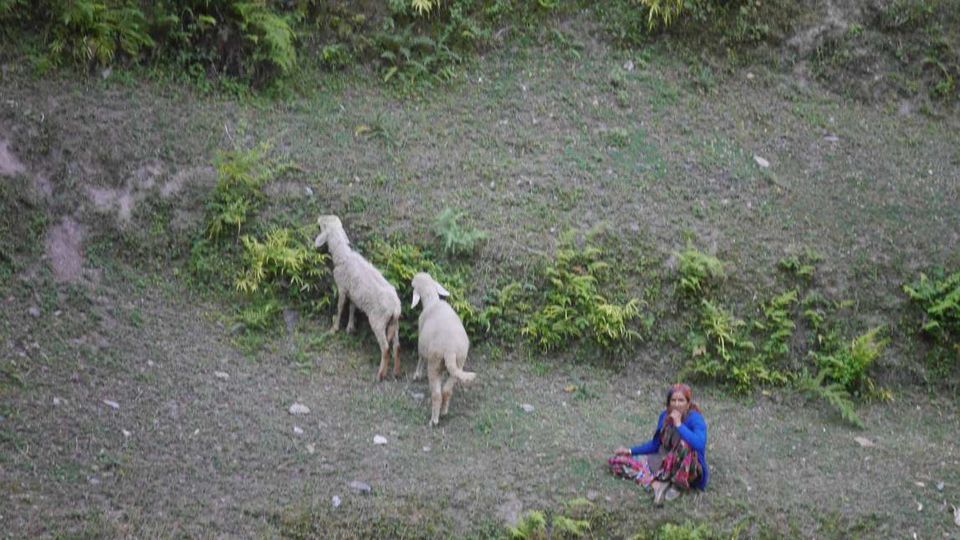 Photo of Jibhi: ‘Home’ Away From Home. 5/19 by Kamla Sharma