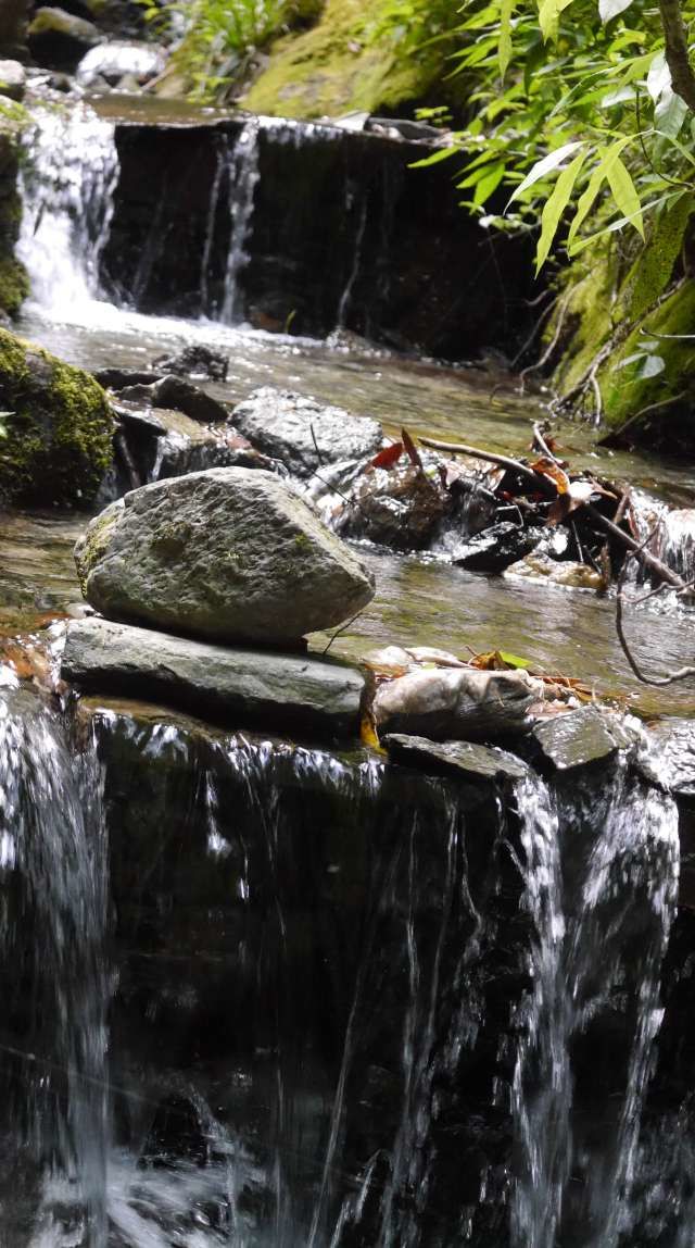 Photo of Jibhi: ‘Home’ Away From Home. 9/19 by Kamla Sharma