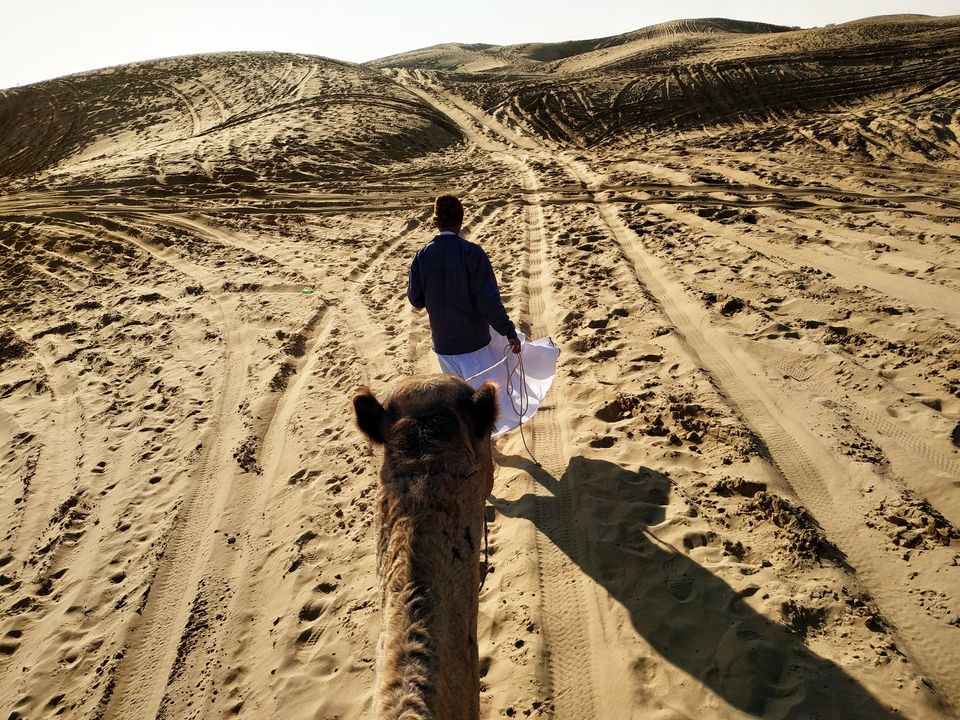 Photo of Thar: The Great Indian Desert 1/2 by Kamla Sharma