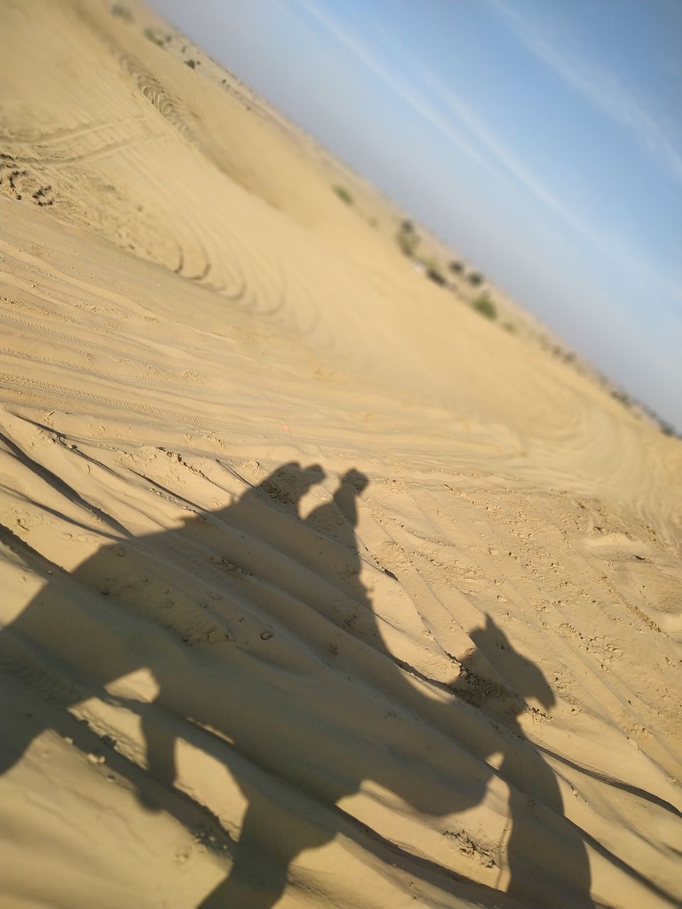 Photo of Thar: The Great Indian Desert 2/2 by Kamla Sharma