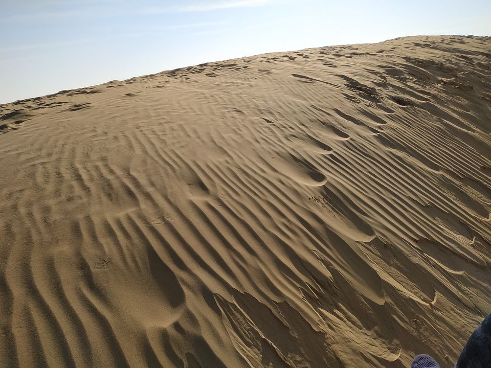 Photo of Thar: The Great Indian Desert by Kamla Sharma