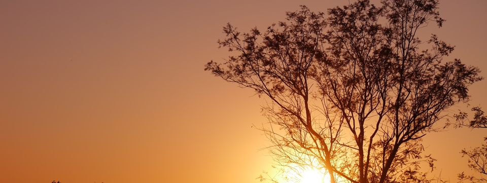 Photo of Panna Tiger Reserve : Breathtaking Journey. 23/23 by Kamla Sharma