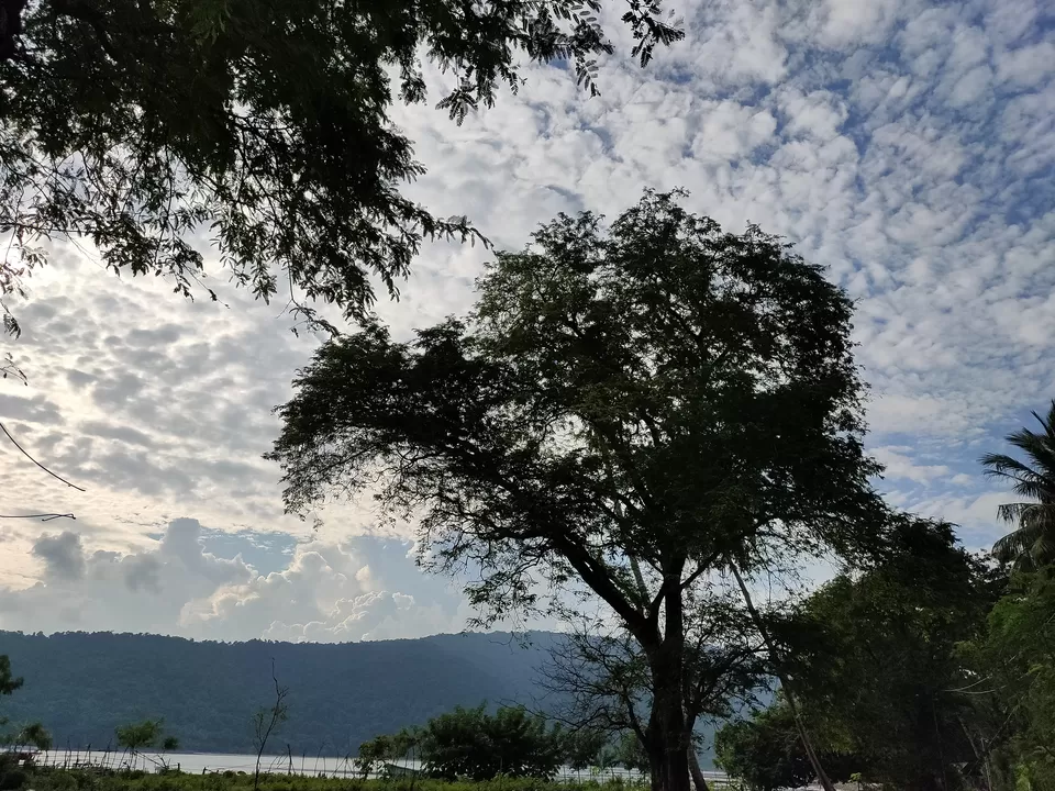 Photo of Baratang, Andaman and Nicobar Islands by Rounak Dey