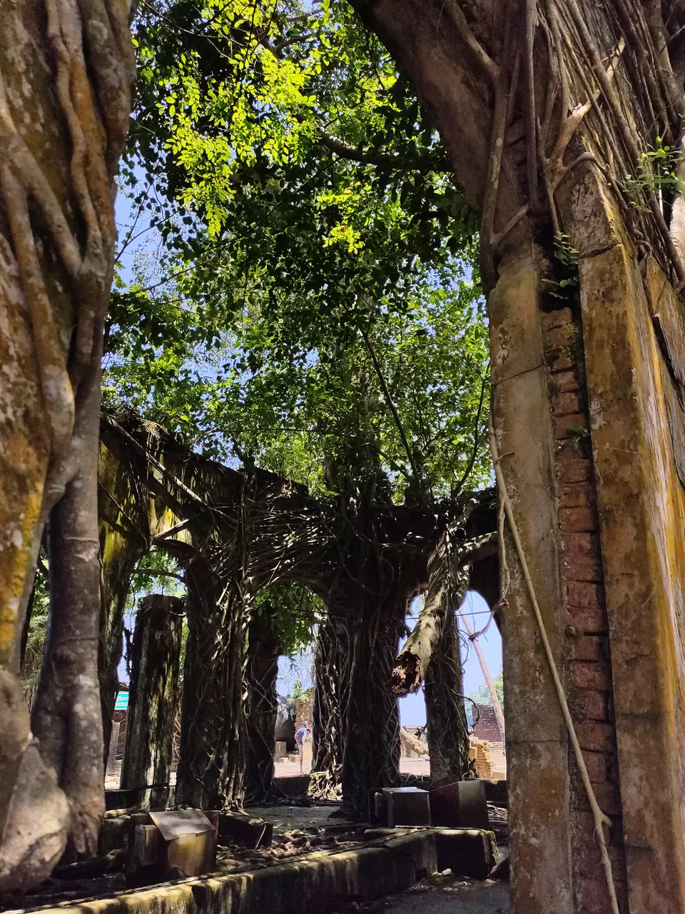 Photo of Baratang, Andaman and Nicobar Islands by Rounak Dey