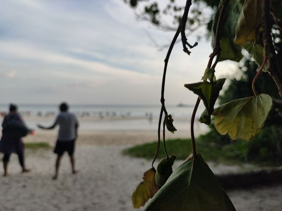Photo of Baratang, Andaman and Nicobar Islands by Rounak Dey
