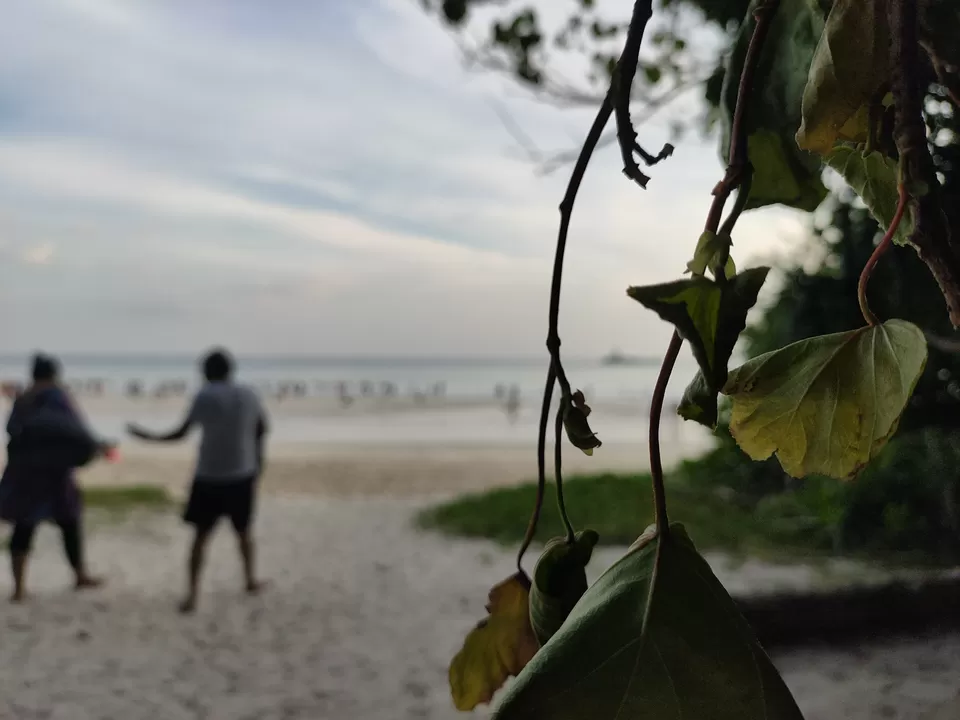 Photo of Baratang, Andaman and Nicobar Islands by Rounak Dey