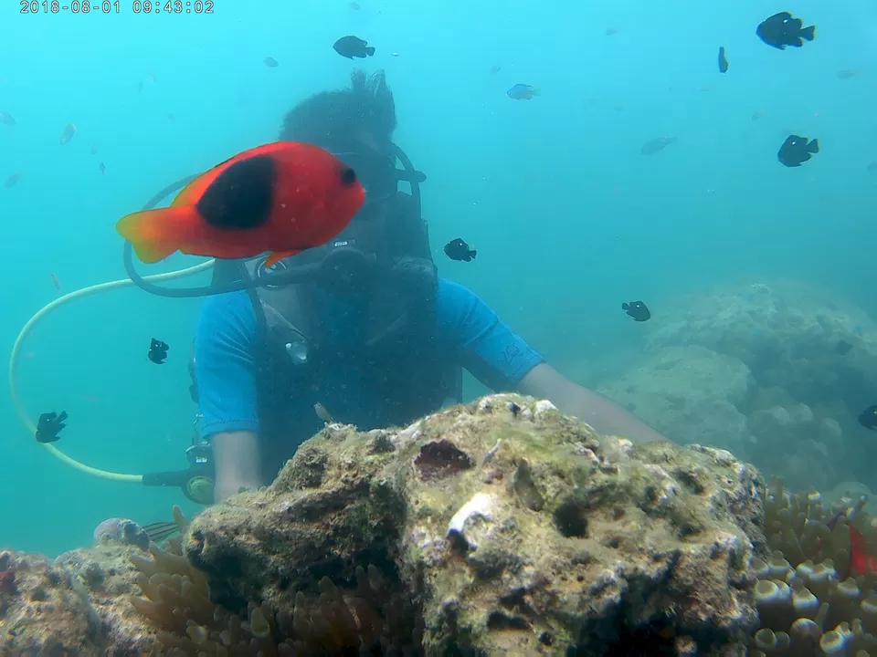 Photo of Baratang, Andaman and Nicobar Islands by Rounak Dey