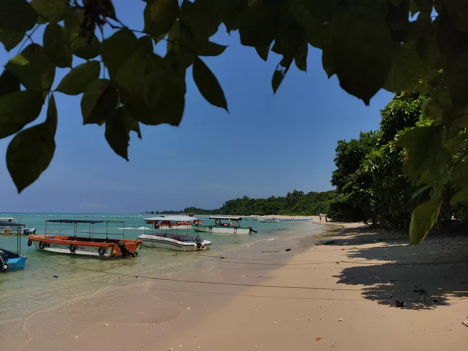 Photo of Baratang, Andaman and Nicobar Islands by Rounak Dey