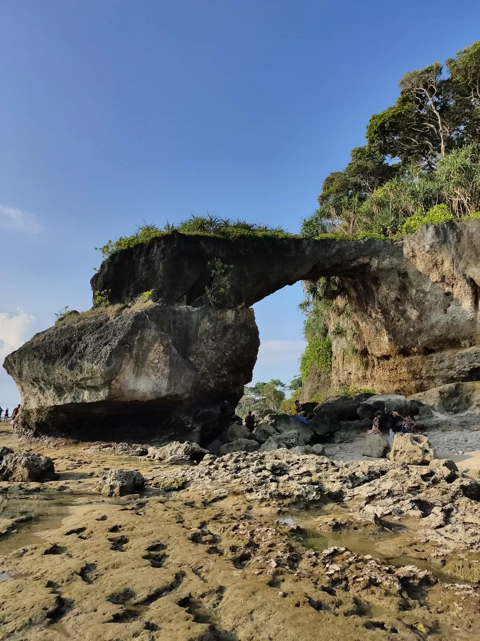 Photo of Baratang, Andaman and Nicobar Islands by Rounak Dey