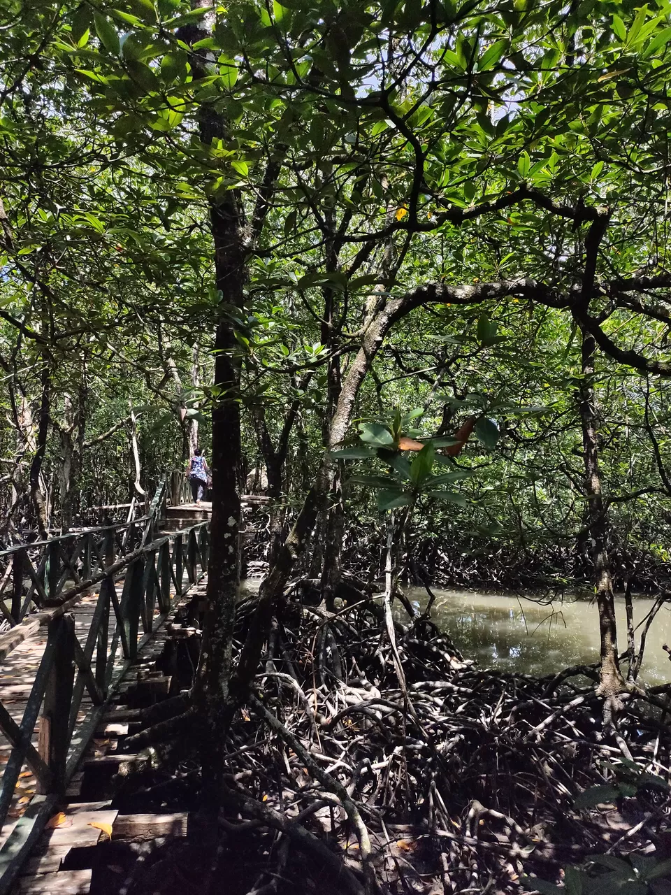 Photo of Baratang, Andaman and Nicobar Islands by Rounak Dey