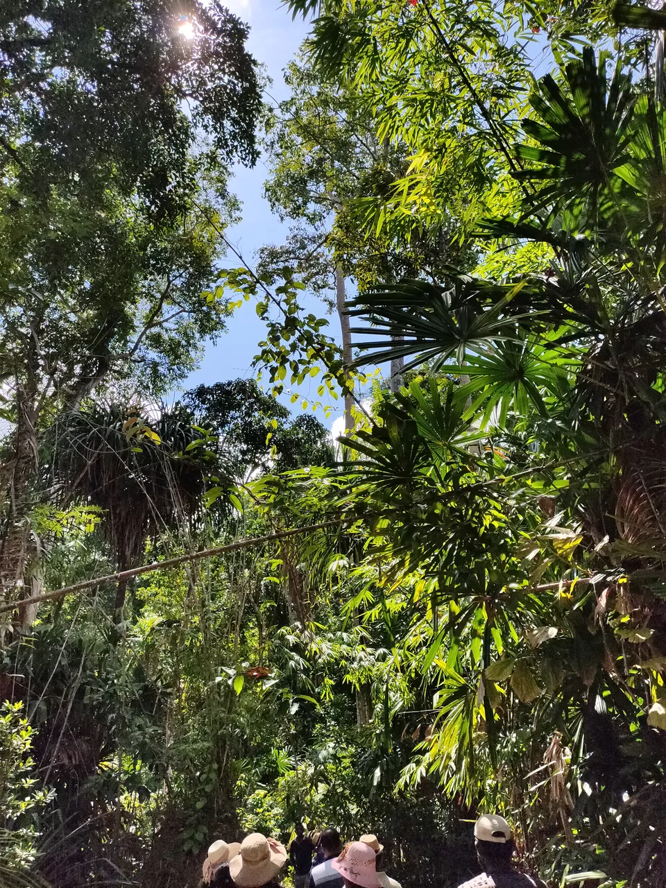 Photo of Baratang, Andaman and Nicobar Islands by Rounak Dey