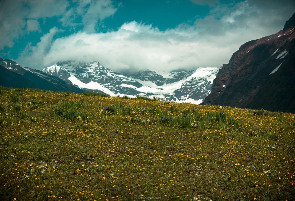 Photo of Chandernahan Lakes Trek by Harish Kumar