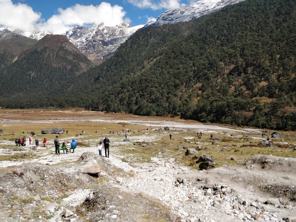 Photo of Yumthang Valley Natural Reserve, Lake Cho Lhamu Road, Sikkim, India by Neha Shiroor