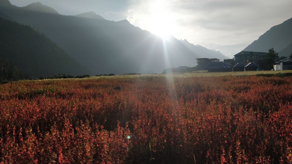 Photo of Rampur Bushahr, Himachal Pradesh, India by Ganesh Murthy