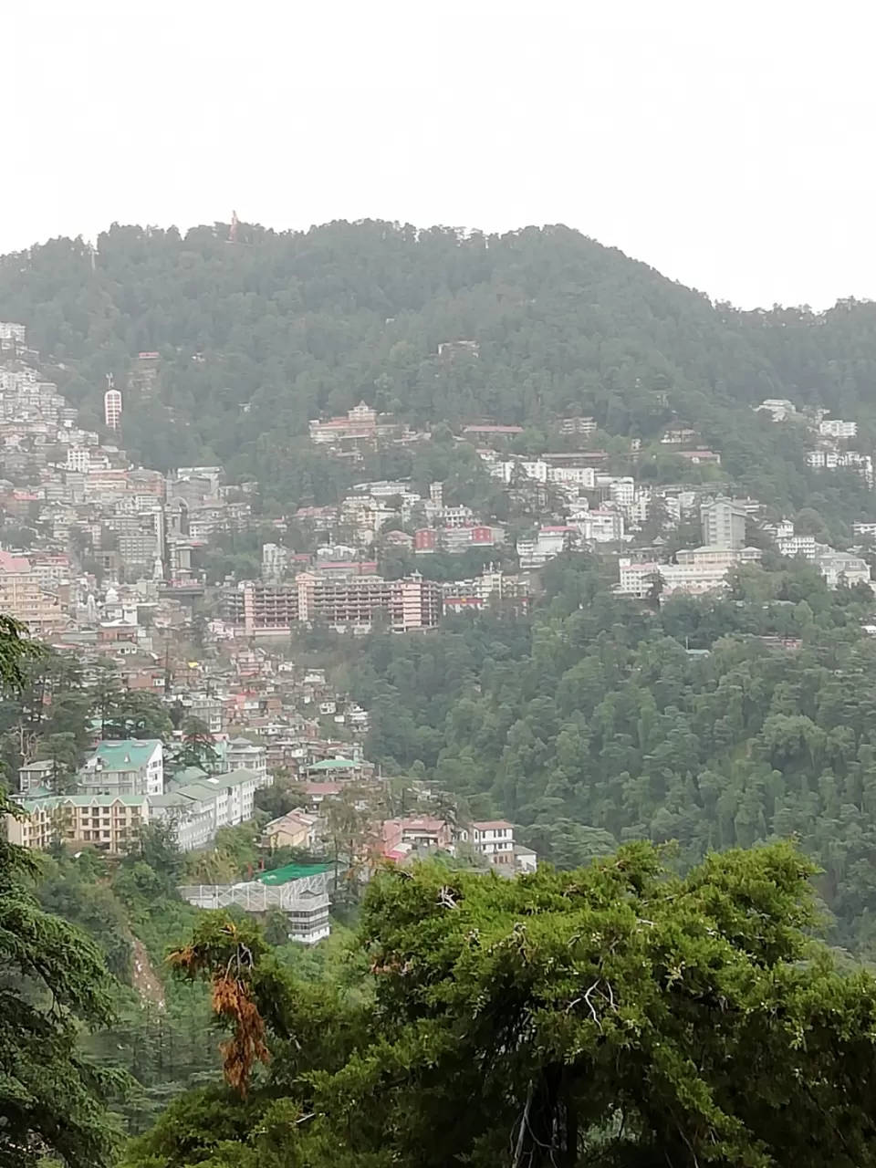Photo of Shimla, Himachal Pradesh, India by george p thomas