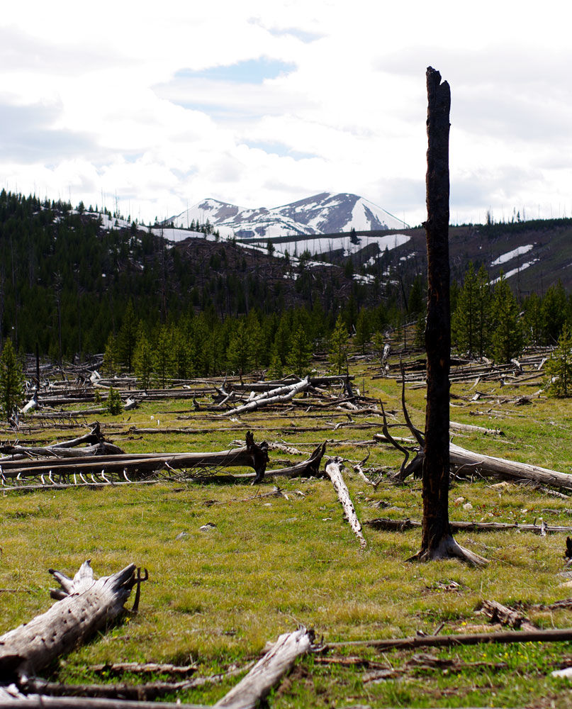 Photo of Details About Planning a Trip to Yellowstone National Park That No One Will Tell You 3/9 by Katya Laroche
