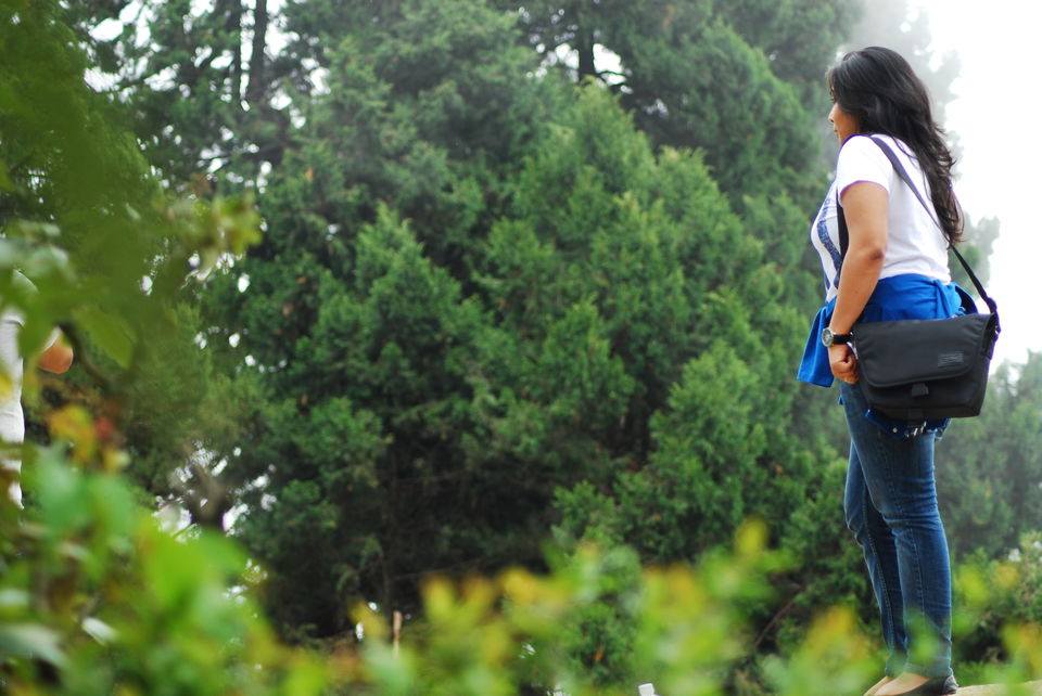 Photo of Unending Journey 1/4 by Sonam Gupta