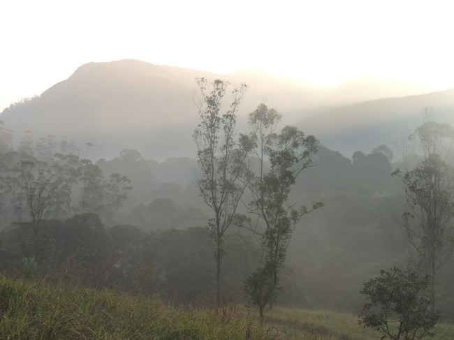 Photo of Munnar, Kerala, India by Deepanvita Sharma