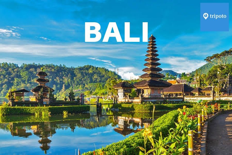 Photo of Book a Bali Tour Package For Couples and Head For a Romantic Escapade 1/1 by Mukesh Jha