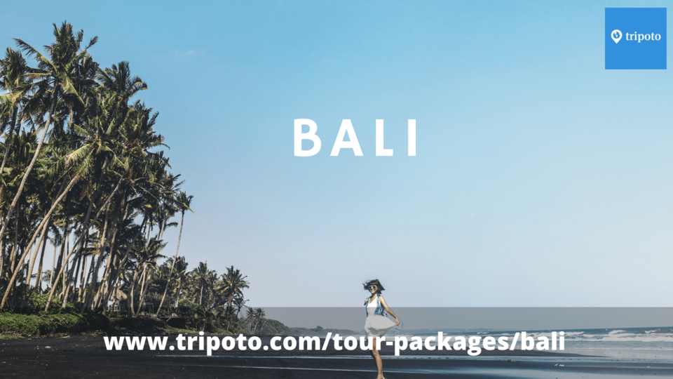 Photo of Looking for the Best Bali Indonesia Package Tour with Airfare? This Way Please! 1/2 by Mukesh Jha