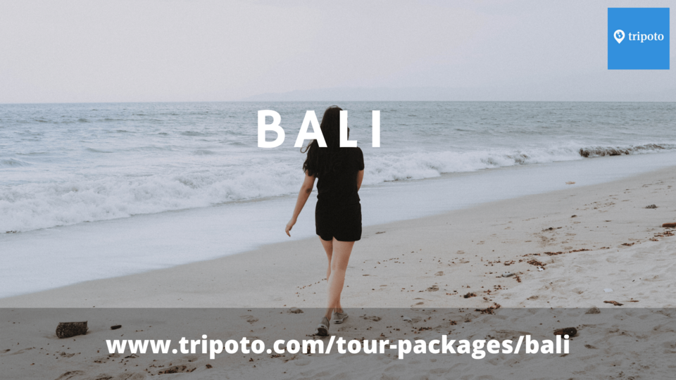 Photo of Choose a Customised Bali Tour Package From India To Make Planning Your Bali Trip Easier 3/4 by Mukesh Jha