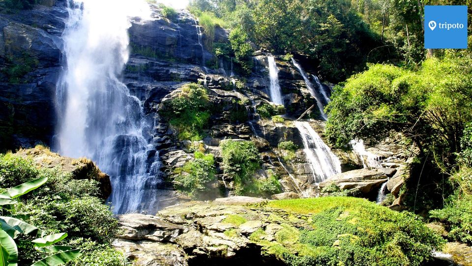 Photo of Book a Thailand Tour Package From Delhi for a Memorable Vacation in the Lap of Nature by Mukesh Jha
